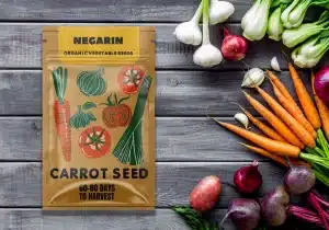 مزایای استفاده از باکس پوچ مخصوص صنایع غذایی