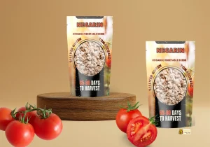 طراحی بصری برای جذب مخاطب 