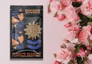 جنس باکس پوچ